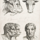 Illustration for article titled Baroque-Era Drawings Reveal Early Ideas About Evolution